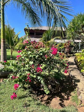 Villa Milena Nosy-Be 외부 사진